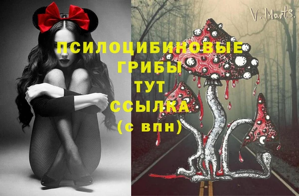 соль ск Алексеевка
