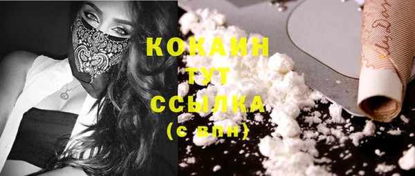 2c-b Алзамай
