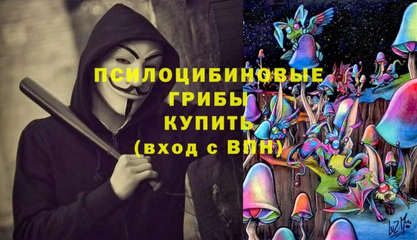 2c-b Алзамай