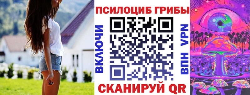 Купить закладки  Заозёрный  Галлюциногенные грибы Psilocybine cubensis 